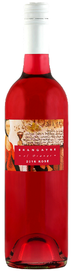 2016 Brangayne of Orange Rose  - Caroline Mackenzie